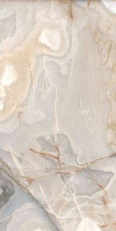 Reves Noisette Matte 24 x 48